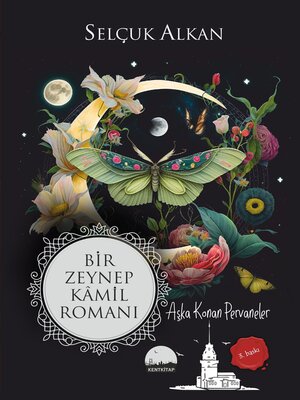cover image of Bir Zeynep Kamil Romanı